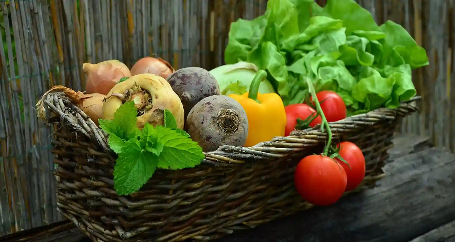 Benefici per la Salute la Dieta Vegetale Guida Completa e Consigli Nutrizionali